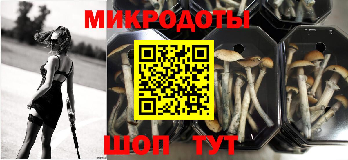 Псилоцибиновые грибы мухоморы  Галлюциногенные грибы Cubensis  Вход с VPN  Артём 