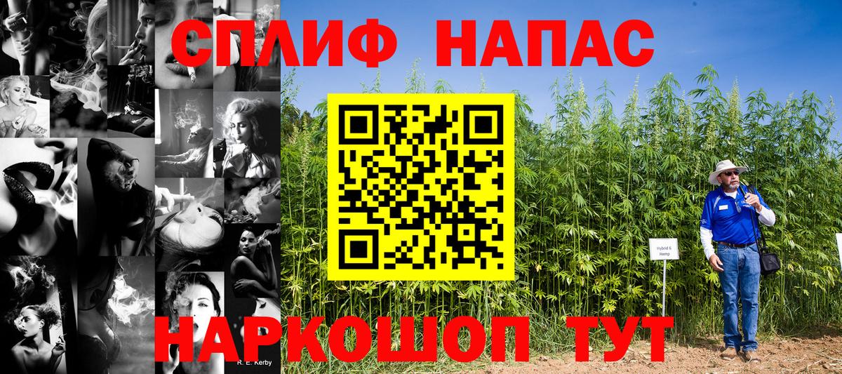Бошки Шишки план Артём